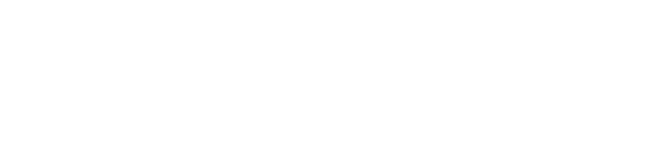 Special Olympics Alaska Logo